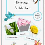 Ratespiel Frühblüher – Unterrichtsmaterial In Den Fächern