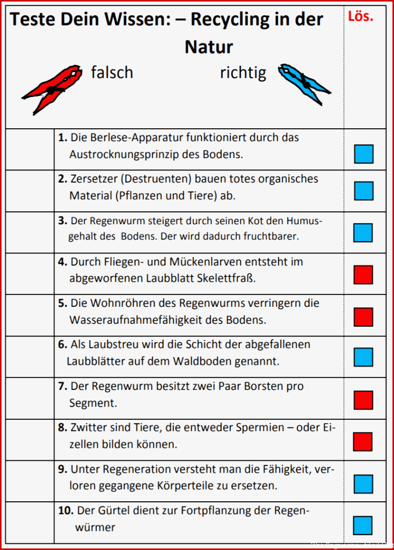 Recycling in der Natur