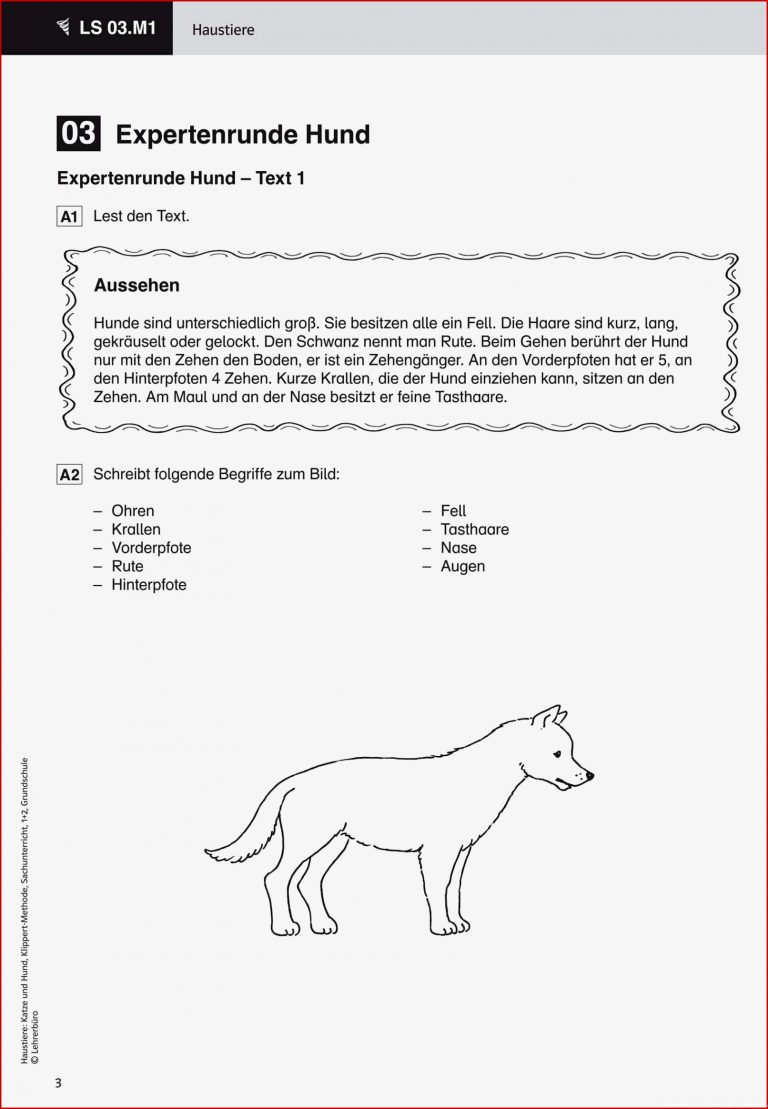 Referat Vorlage Grundschule 2 Klasse Haustiere Wunderbar Heruntergeladen Werden Referat Vorlage Grundschule 2 Klasse Haustiere Wunderbar