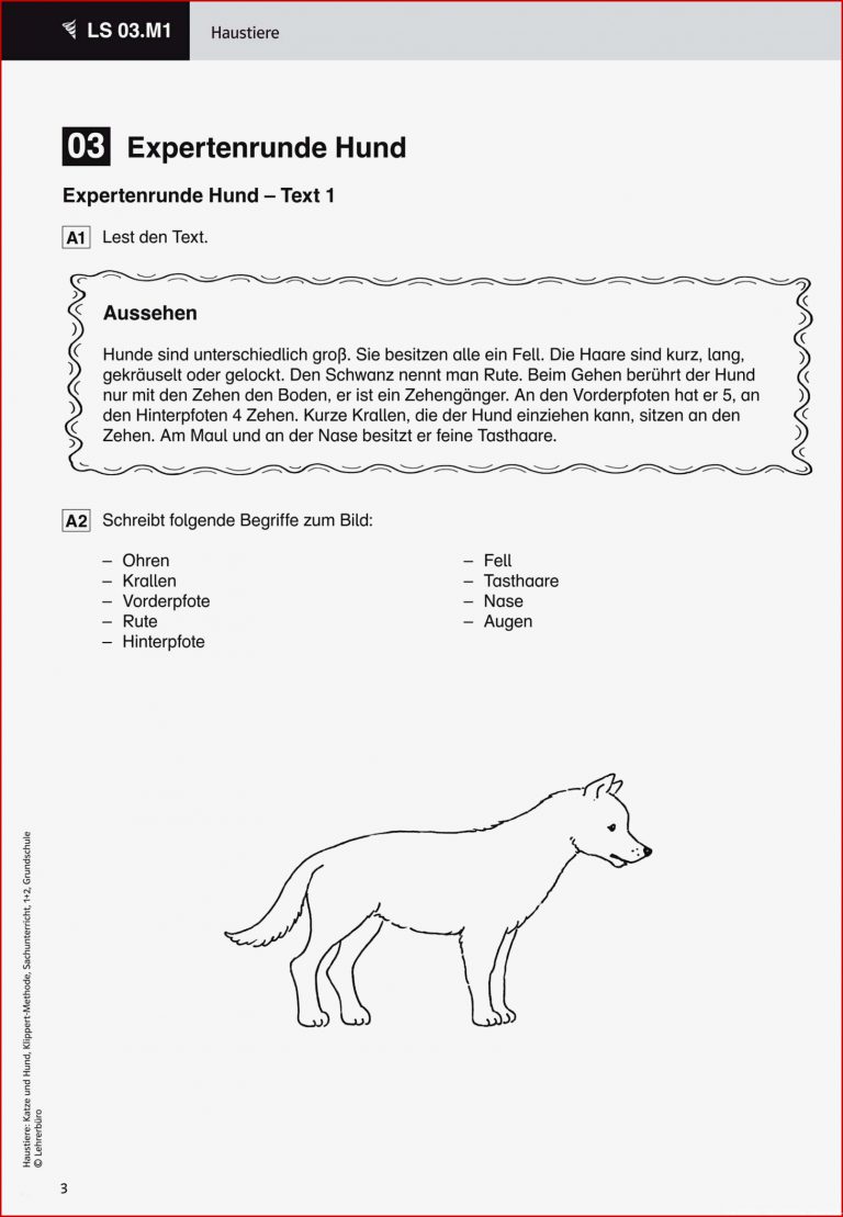 Referat Vorlage Grundschule 2 Klasse Haustiere Wunderbar