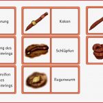 Regenwurm Grundschule Material Mark Clifford Schule