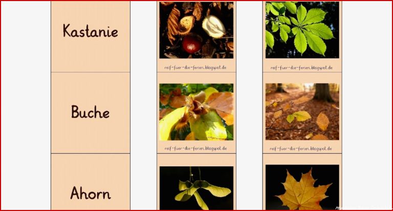 Reif für Ferien Baum Memory zum Download Reif für Ferien Baum Memory