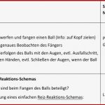 Reiz Reaktions Schema Nervensystem
