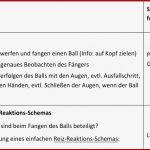 Reiz Reaktions Schema Nervensystem