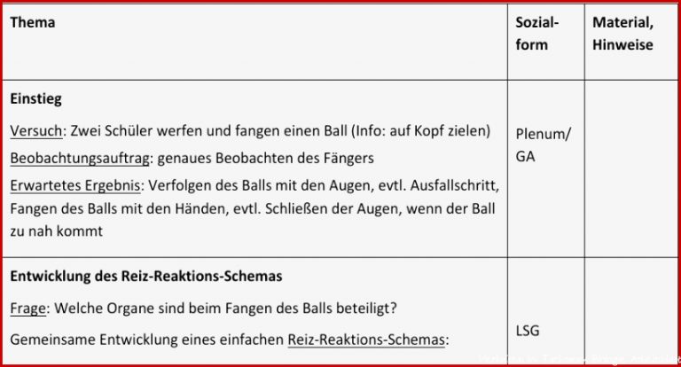 Reiz Reaktions Schema Nervensystem