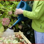 Richtig Kompostieren 7 Tipps Für Perfekte Ergebnisse