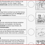 Sachkunde 3 Klasse Getreide Arbeitsblätter Kostenlos