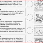 Sachkunde 3 Klasse Getreide Arbeitsblätter Kostenlos