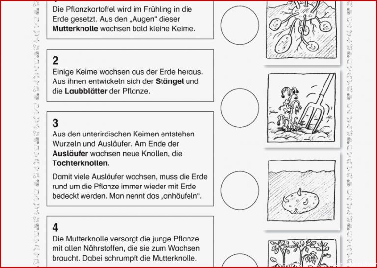 Sachkunde 3 Klasse Getreide Arbeitsblätter Kostenlos