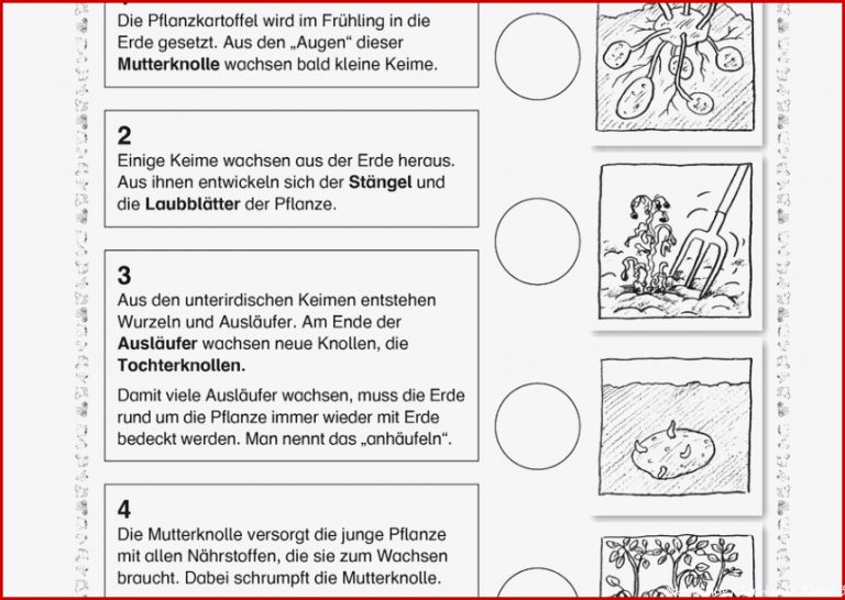 Sachkunde 3 Klasse Getreide Arbeitsblätter Kostenlos