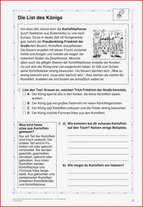 Sachkunde Kartoffel Grundschule Arbeitsblätter Kostenlos