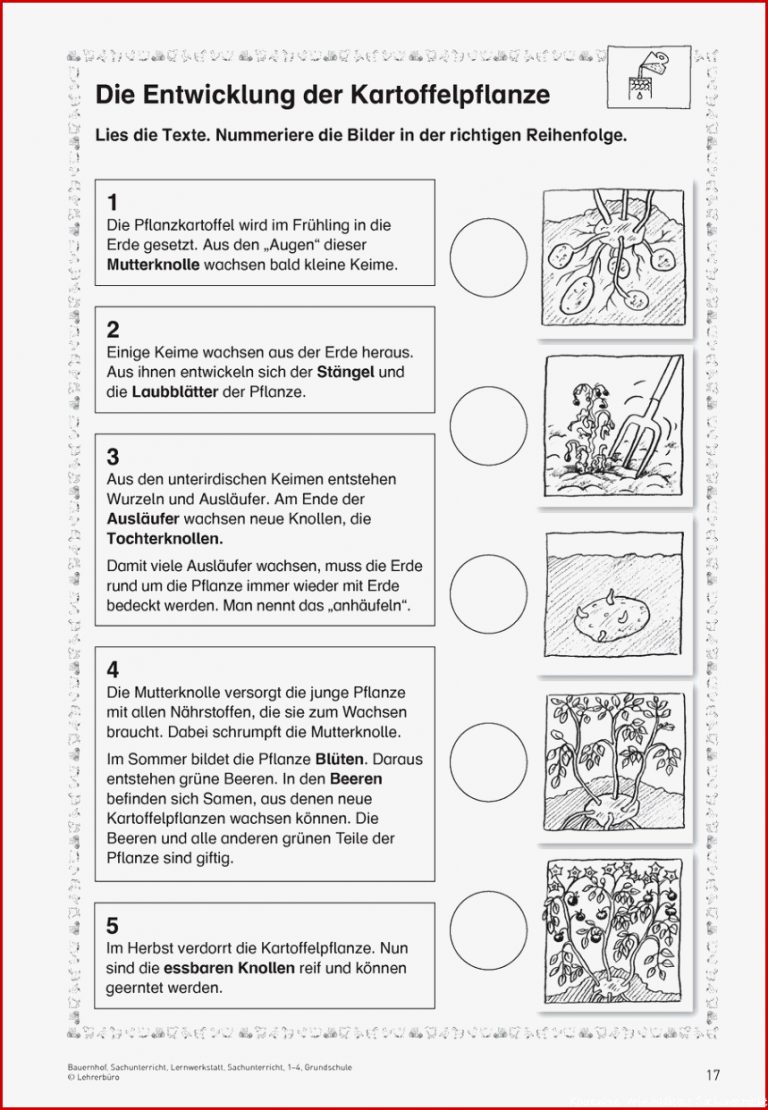 Sachkunde Kartoffel Grundschule Arbeitsblätter Kostenlos