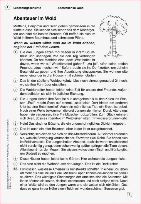 Faszinierend Tierbeschreibung Klasse 5 Gymnasium Arbeitsblätter Für