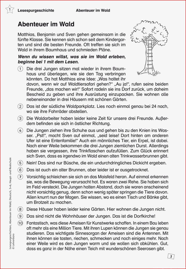 Sachtexte Klasse 6 Zum Ausdrucken