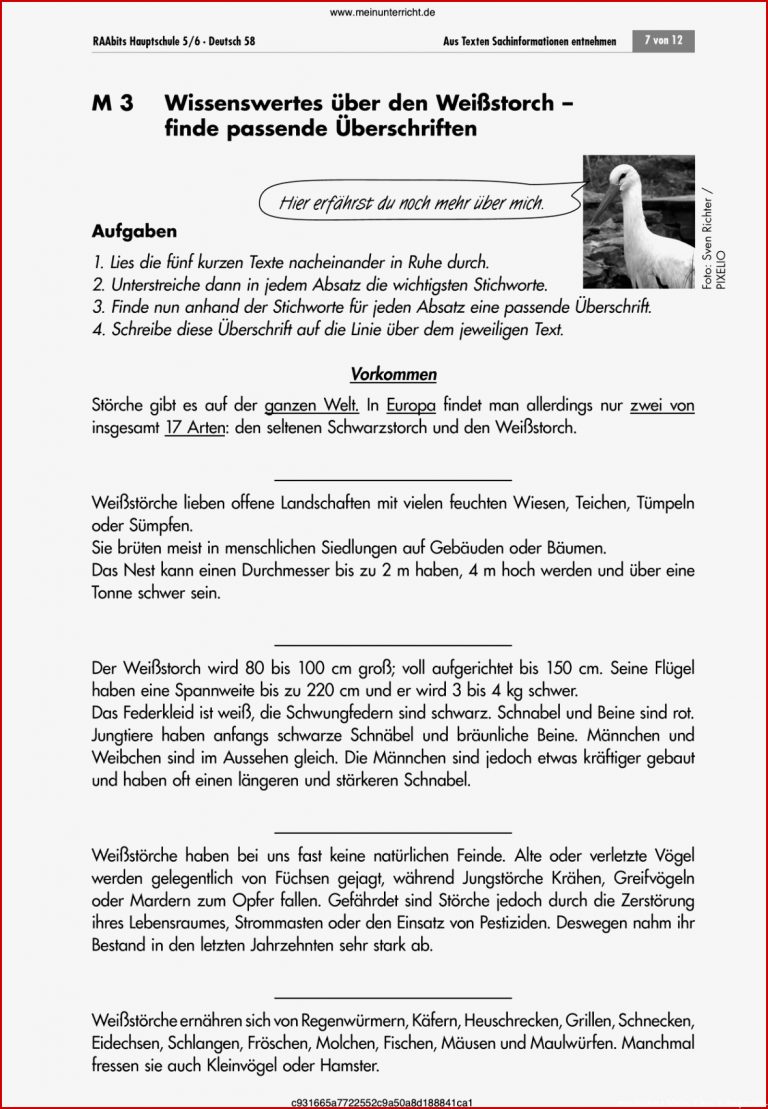 Sachtexte Klasse 7 Arbeitsblätter Pdf Worksheets