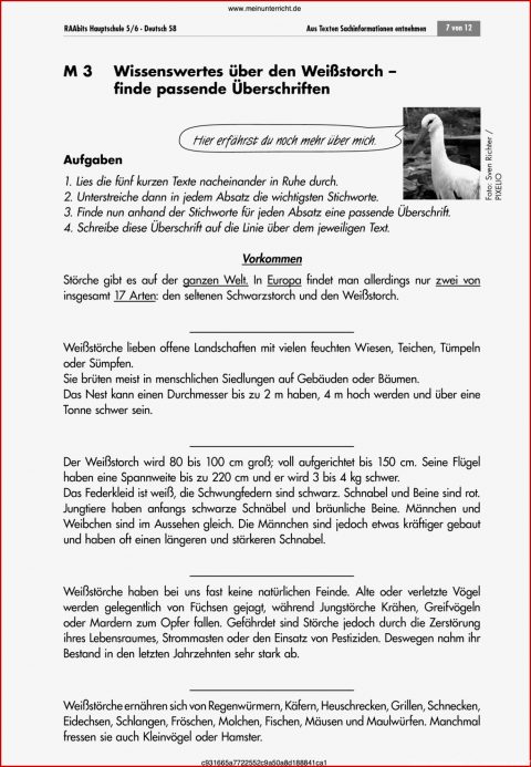 Sachtexte Klasse 7 Arbeitsblätter Pdf Worksheets - Kostenlose