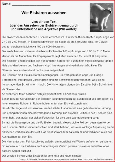 Sachtexte Klasse 5 Arbeitsblätter: 3 Beratung Für Deinen Erfolg