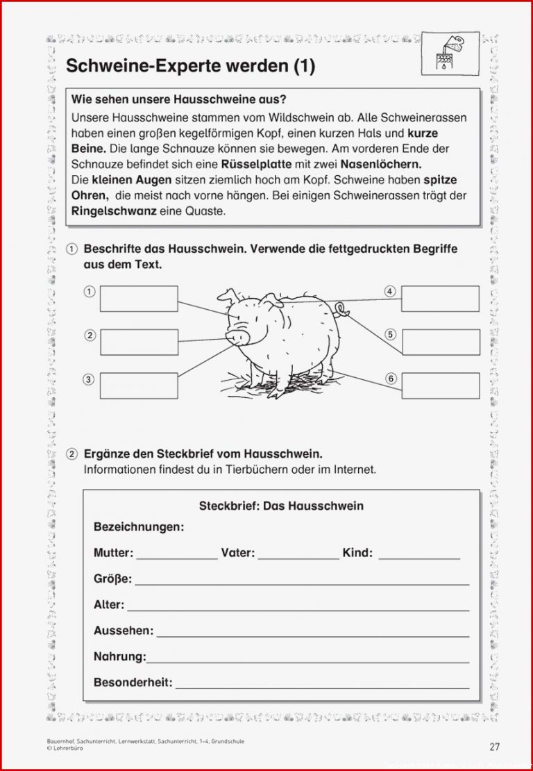 Sachunterricht 2 Klasse Arbeitsblätter Worksheets