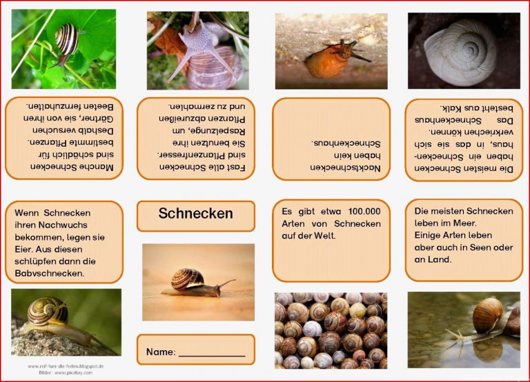 Sachunterricht Kostenlos Herunterladen Sachunterricht