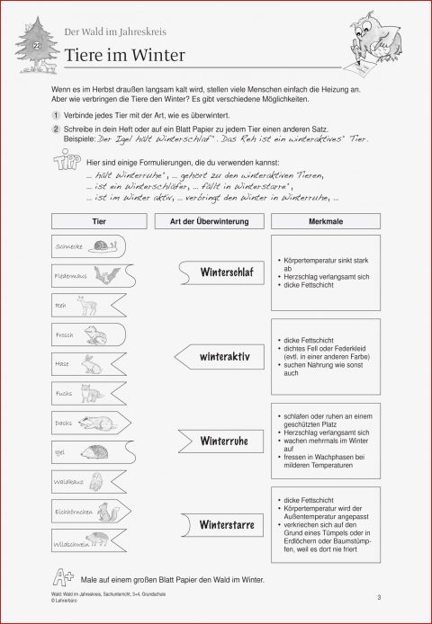 Sachunterricht · Arbeitsblätter · Grundschule · Lehrerbüro