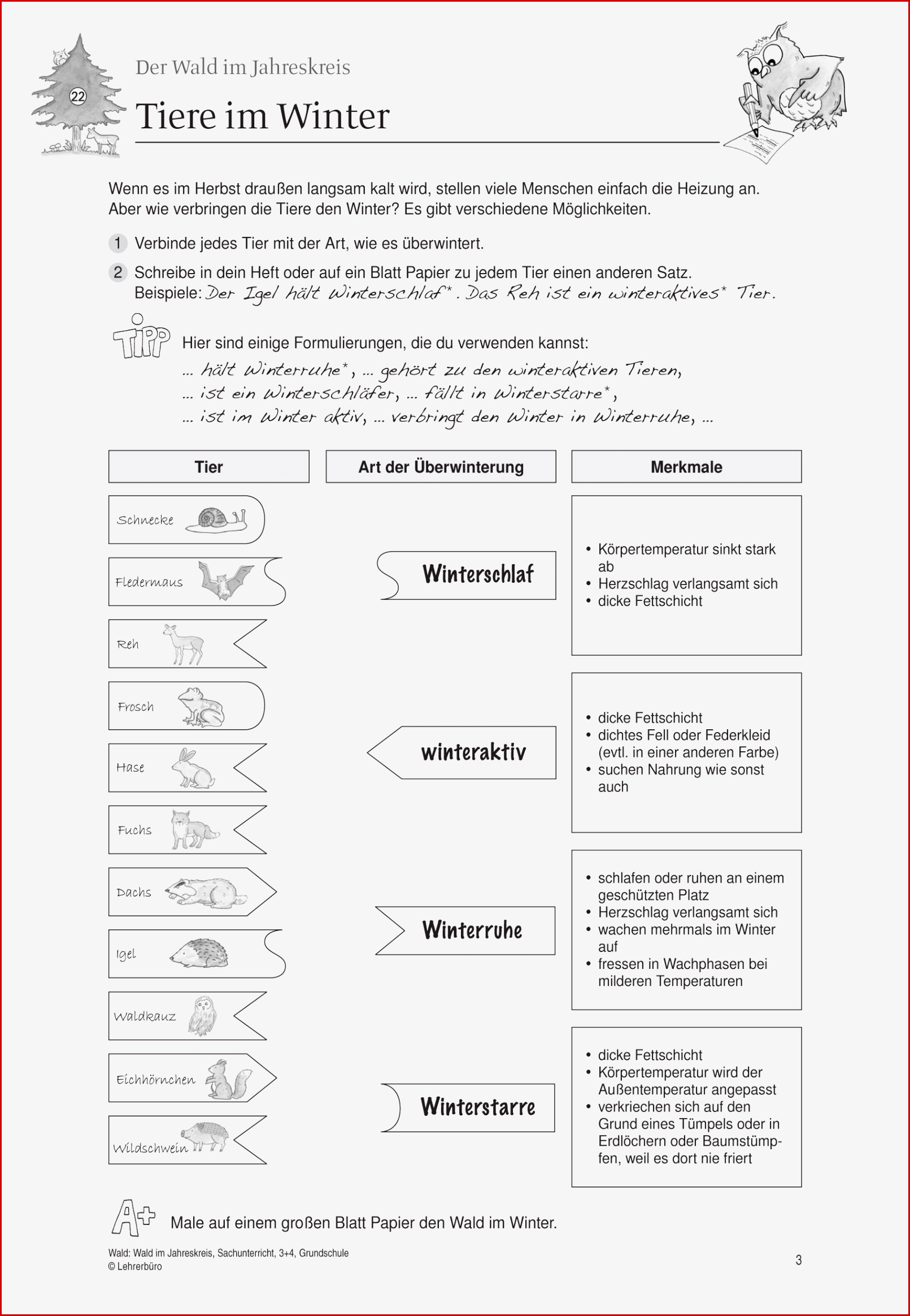 Sachunterricht · Arbeitsblätter · Grundschule · Lehrerbüro