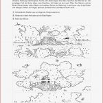 Sachunterricht · Arbeitsblätter · Grundschule · Lehrerbüro