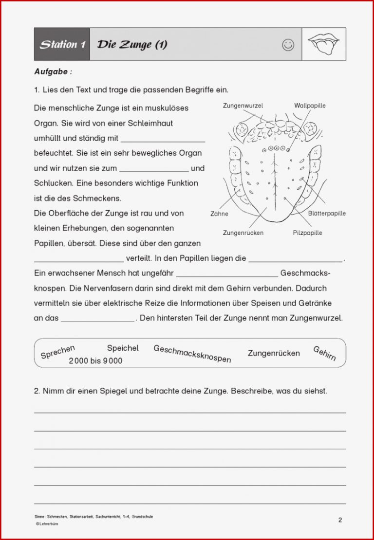 Sachunterricht · Arbeitsblätter · Grundschule · Lehrerbüro