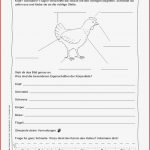 Sachunterricht · Arbeitsblätter · Grundschule · Lehrerbüro
