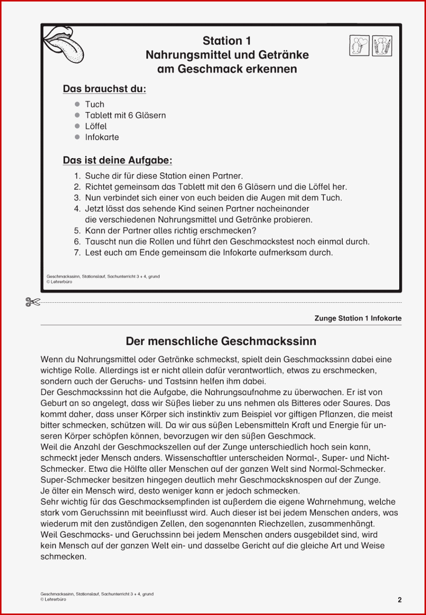 Geruchssinn Arbeitsblatt Grundschule: 5 Methoden Fr 2022 | Kostenlose