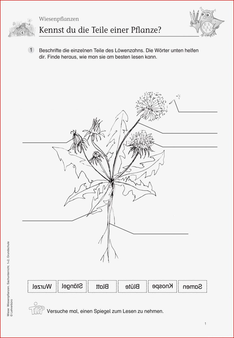 Sachunterricht · Arbeitsblätter · Grundschule · Lehrerbüro