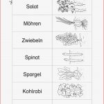 Sachunterricht · Arbeitsblätter · Grundschule · Lehrerbüro