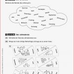 Sachunterricht · Arbeitsblätter · Grundschule · Lehrerbüro