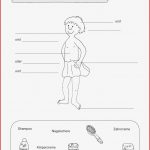 Sachunterricht · Arbeitsblätter · Grundschule · Lehrerbüro