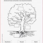 Sachunterricht · Arbeitsblätter · Grundschule · Lehrerbüro