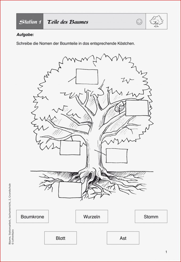 Sachunterricht · Arbeitsblätter · Grundschule · Lehrerbüro