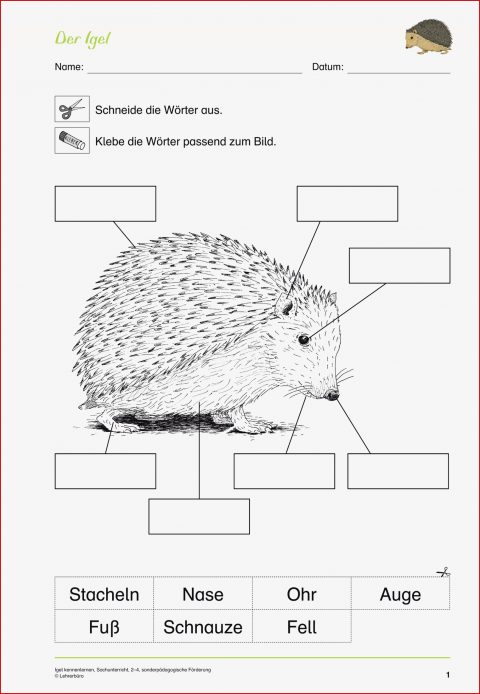 Sachunterricht · Arbeitsblätter · sonderpädagogik · Lehrerbüro