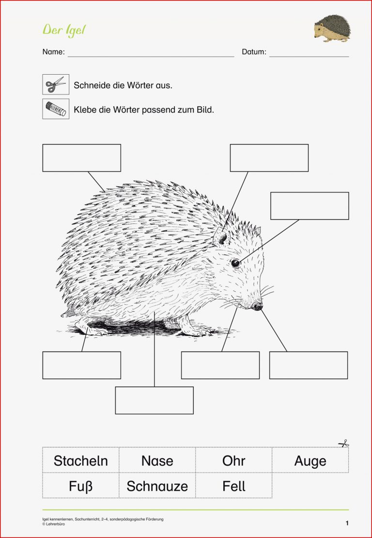 Sachunterricht · Arbeitsblätter · Sonderpädagogik · Lehrerbüro