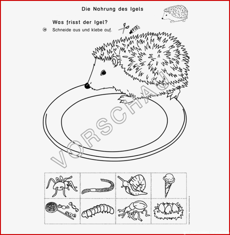 Sachunterricht Arbeitsblatt Igel 2 Klasse Felipa Allen