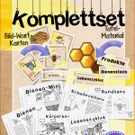 Sachunterricht Bienen Komplettset Sparpaket