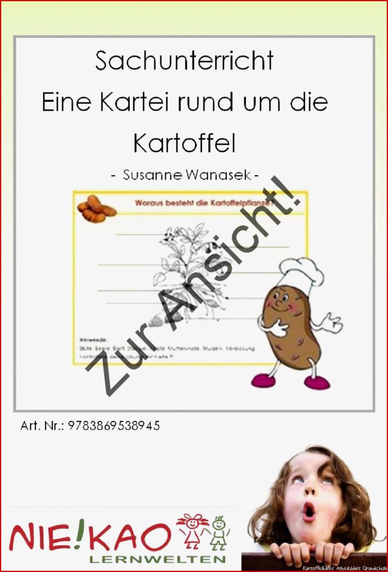 Sachunterricht Eine Kartei rund um Kartoffel by