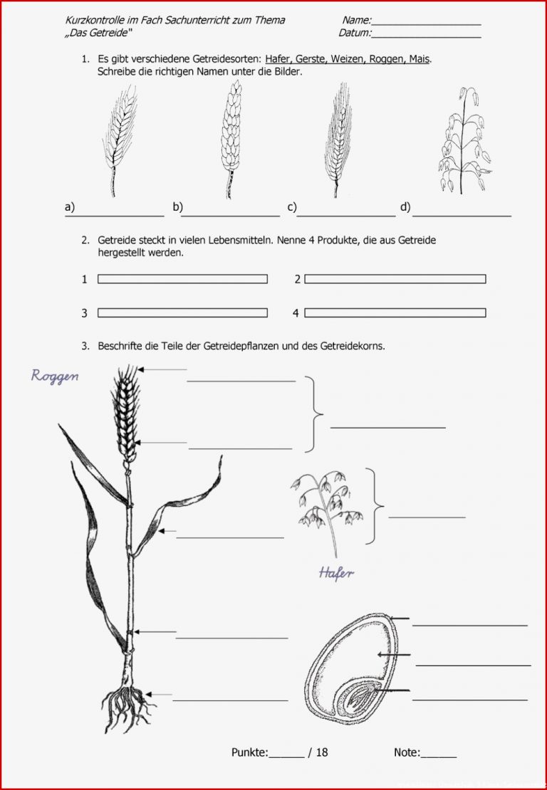 Sachunterricht Klasse 3 Arbeitsblätter Getreide Kostenlos