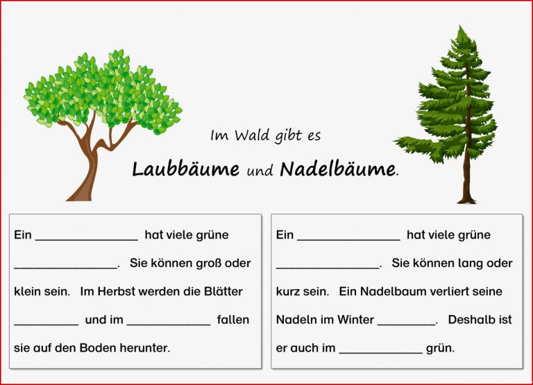 Kostenlose Sachunterricht Klasse 3 Bäume Arbeitsblätter Kostenlos Sachunterricht Klasse 3 Bäume Arbeitsblätter Kostenlos