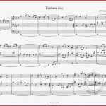 Sämtliche orgelwerke 3 Von Johann Sebastian Bach