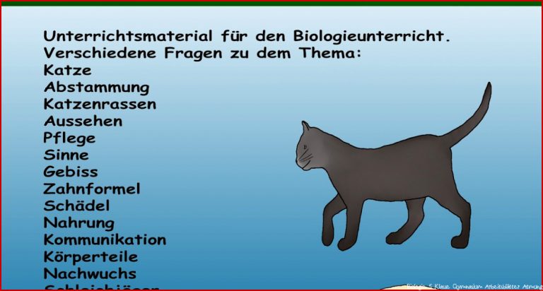 Säu iere Biologie 5 Klasse Gymnasium Arbeitsblätter