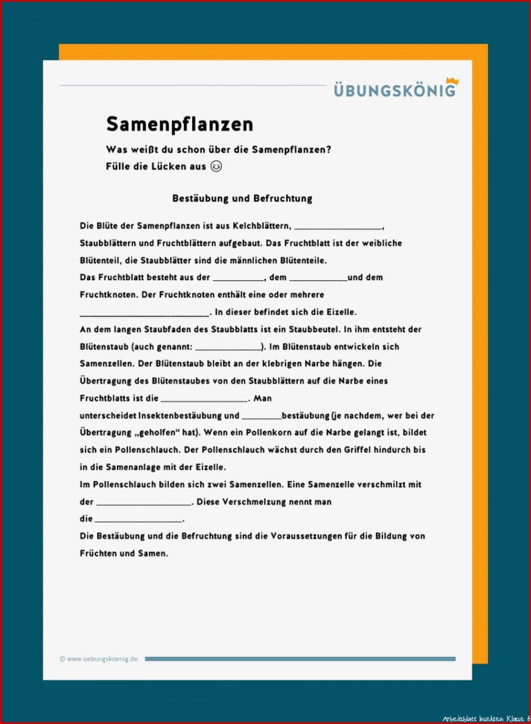 Samenpflanzen