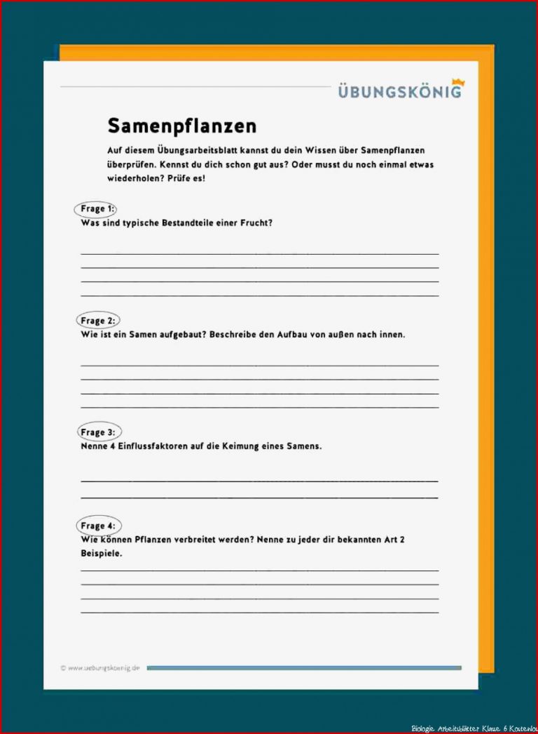 Samenpflanzen - 6. Klasse