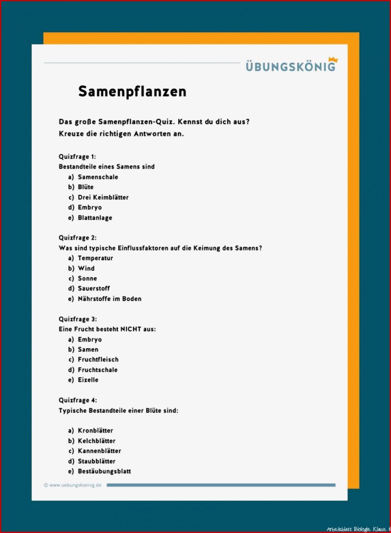 Samenpflanzen - 6. Klasse