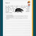 Satzbau übungen Deutsch Arbeitsblätter Worksheets