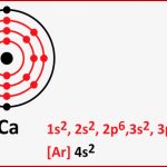 Schalenmodell Calcium the Accounting Cover Letter