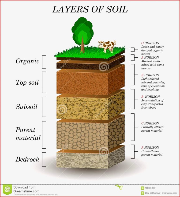 Schichten Boden Bildungsdiagramm Mineralpartikel Sand